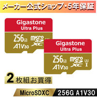 Nintendo Switch確認済マイクロSDカード 256GB 2枚セット GJMXR-256GV3A1100R-2PK（直送品）