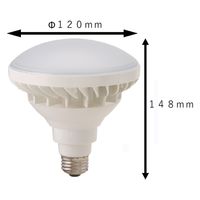 東京メタル工業 屋外用レフランプ型LED LDR18N200-TM 1個