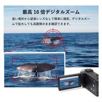 サイエルインターナショナル 赤外線機能付きハンディカメラ SLI-IHC30C 1個