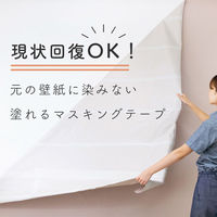 タカラ塗料 ペインタブルテープ 30cm単品 tools_Pablet_ST_300mm 1個（直送品）