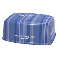 ウェットティッシュ 除菌シート ボックス BOXタイプ アルコール除菌 ウェット 本体  1セット（100枚入×12個）