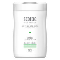 ウェットティッシュ 除菌シート スコッティ ウェットティシュー 除菌ノンアルコール1セット（120枚入×12個）日本製紙クレシア