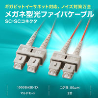サンワサプライ メガネ型光ファイバケーブル（マルチ50μm、SC×2-SC×2、30m） HKB-SCSC5-30N 1本（直送品）