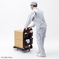 サンワサプライ 台車用バッグ(ロングタイプ) VEH-BAG3 1個（直送品）