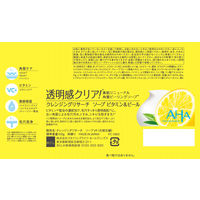 クレンジングリサーチ ソープ ビタミン＆ピール 100g 洗顔石鹸 角質ケア BCL カンパニー