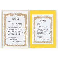 レイメイ藤井 賞状ファイル B4ピンク LSB80P 1冊