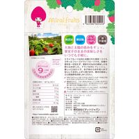 ビタットジャパン ミライフルーツ いちご 10g 4562384605456 1個