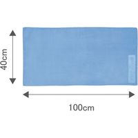 山本光学 ドライタオル 004 ブルー SA126 1枚