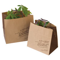 ヘッズ BKFブラウンペーパーバッグ-4S BKB-4PS 1パック(50枚)