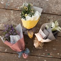 ヘッズ 無地PEロール-3/クリーム MPE-RO3 1巻