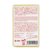 亀の子スポンジ スタンダード 角型 キッチンスポンジ 抗菌・防カビ加工 イエロー 1個 亀の子束子西尾商店