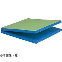 トーエイライト ソフトノンスリップマット オレンジ T1794V 1枚 65-0543-32（直送品）