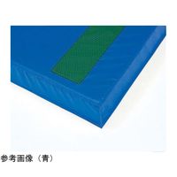 トーエイライト 屋内用カラーマット 10 青 G1809B 1枚 65-0539-45（直送品）