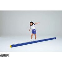 トーエイライト プレイフォームマット D T2419 1台 65-0545-08（直送品）