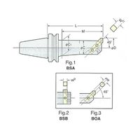 日研工作所 丸バイトボーリングバー(傾斜) BT40-BOA30-165 1式 62-3626-91（直送品）