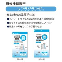 竹虎 ソフラグランゼ 22cm幅 フリー 040610 1枚 67-2386-76（直送品）