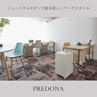 PREDONA(プレドナ) デスク  平机 メッシュ幕板 幅800×奥行550×高さ720mm 天板ナチュラルウッド/脚ホワイト 1台