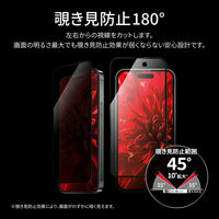 MSソリューションズ iPhone 15/15 Pro ガラスフィルム 全面保護 覗き見防止180° LN-IM23FGSN 1個