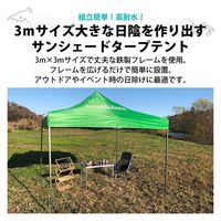 LandField タープテント 大型3×3m 6人用 組立簡単 高さ調節可 防水 サンシェード LF-FTP010-GR 1台（直送品）