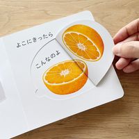 コクヨ しかけ絵本 くだもの音頭 KE-WC82 1冊