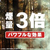 コールマン アース極太虫よけ線香 10巻箱入 吊り下げ式線香皿付 虫除け 忌避 1個 アース製薬