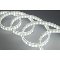 ジェントス テープライト10m GZS-10MB 1本