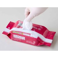 ハクゾウメディカル そのまま使えるジアワイプ 3162266 1個