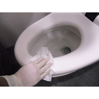 ハクゾウメディカル トイレに流せるハクゾウ環境クロスVロック 3394072 1個