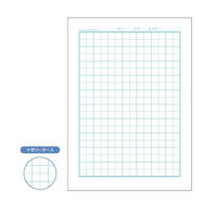 けしやすい学習帳　こくご　セミB5　10マス　リーダー入り　2冊　NB51-C10ML　ナカバヤシ