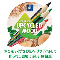 ノリスカラー 色鉛筆 紙ケース入り 36色セット CD36PB ステッドラー