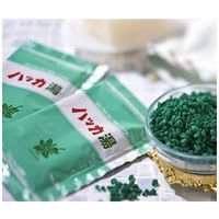 入浴剤 ハッカ湯 バスソルト ペパーミントグリーン にごり湯 分包 30g 1包北見ハッカ通商