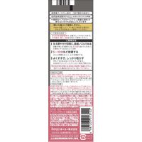 CIELO （シエロ） カラートリートメント リタッチ用 アッシュブラック 140g 白髪染め ホーユー