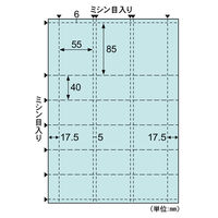 ヒサゴ 自分で作れるチケット・回数券 A4 6枚綴り ブルー PK503S 1セット(1冊×2)