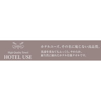 【今治タオル】日繊商工 ふっくらやわらか！ホテル仕様バスタオル（ブラウン） HG3001BR 1箱（20枚入）（直送品）