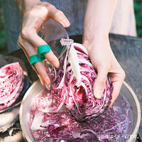 貝印 手のひら キャベツピーラー 000DH2086 1個