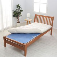 除湿シート サラネル シングルサイズ  1枚 西川 消臭 加齢臭対策 吸湿センサー付き 布団 湿気取り 除湿マット 吸湿 防湿 吸水シート