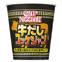 日清食品 カップヌードル 牛だしユッケジャン ビッグ 1セット（3個）