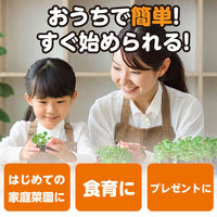 アーテック お家で楽しく栽培キット なす 102936 1個