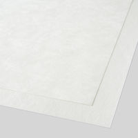 大直 麻紙 白 B5 206030409 1個(30枚)