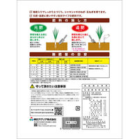 朝日アグリア ねぎ・玉ねぎの肥料ST 1.5kg 4513272023142 1個（直送品）