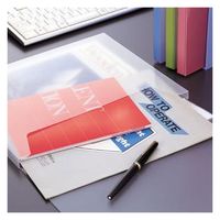 リヒトラブ リクエスト スーパーヴュー・ケースファイルA4 ホワイト G5620-0 1冊