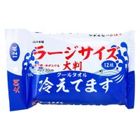 iiもの本舗 大判クールタオルラージサイズ冷えてます12枚 3個 汗拭きシート