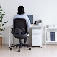 サンワサプライ キャビネット 3段 幅300×奥行534×高さ600mm ホワイト SNW-107W 1台（直送品）