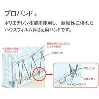 渡辺パイプ プロバンド 10X200M 101080000322 1個（直送品）