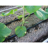 NETAFIM ユニラムCNL 1.6 L/H 0.15m (200m) 14040-000270 1巻（直送品）