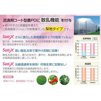 住化積水フィルム 花野果SUN-X 0.15mmX135cmX10m 2枚入り SUN-X 0.15X135X10 2枚 1式(2枚入)（直送品）