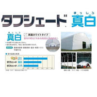 住化積水フィルム タフシェード真白 0.15mmX135cmX15m 2枚入り 真白 0.15X135X15 2枚 1式(2枚入)（直送品）