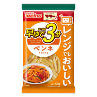 マ・マー 早ゆで3分 ペンネ 100g 1セット（3個）日清製粉ウェルナ