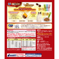 銀のスプーン 三ツ星グルメ しみ旨お魚仕立て まぐろ味レシピ 3種のアソート 国産 160g 1個 キャットフード