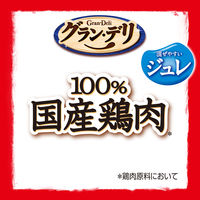 グランデリ 国産鶏ささみ ジュレ 使い切りパック 成犬用（緑黄色野菜・ビーフ：20g×各4袋）1個 ドッグフード パウチ